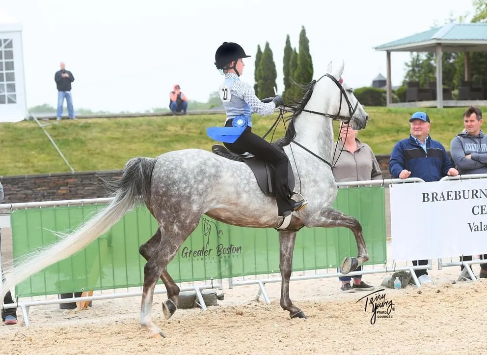 Rockwell Riding Academy training